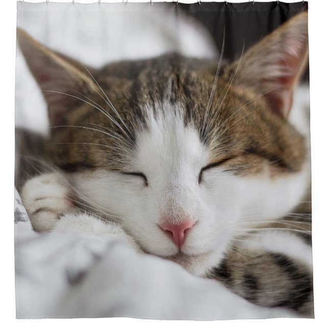 Rideaux De Douche Nap de chat mignon (Devant)
