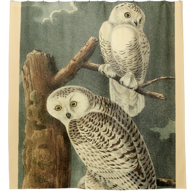 Rideaux De Douche OEuvre d'OEuf Audubon (Devant)