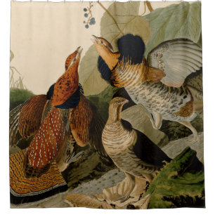 Rideaux De Douche Oiseau de gibier Audubon