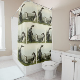 Rideaux De Douche Oiseaux auriculaires à gorge noire d'Amérique