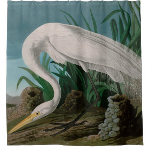 Rideaux De Douche Oiseaux de héron blanc d'Amérique Audubon Imprim
