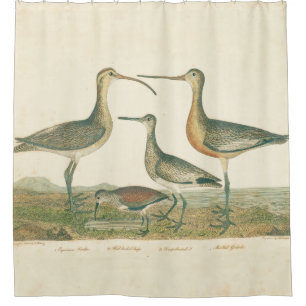Rideaux De Douche Oiseaux de marais Courlis Oiseaux