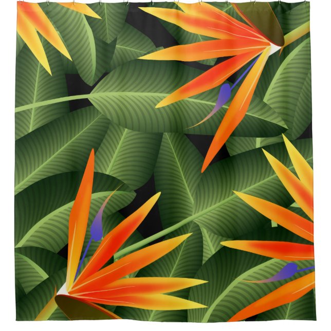 Rideaux De Douche Oiseaux d'île de paradis botaniques (Devant)