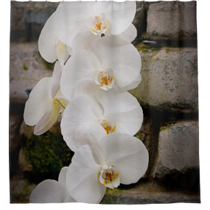 Rideaux De Douche Orchid blanc
