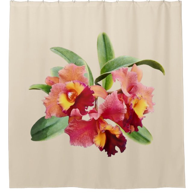 Rideaux De Douche Orchidées Cattleya pêche et cramoisi (Devant)