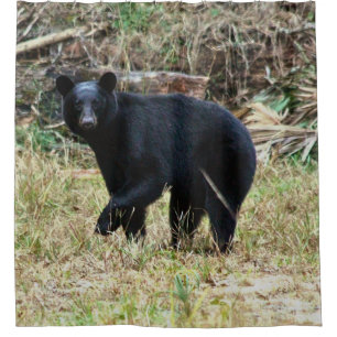 Rideaux De Douche Ours noir de Floride