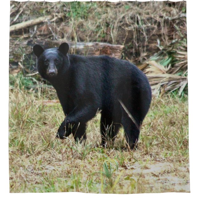 Rideaux De Douche Ours noir de Floride (Devant)