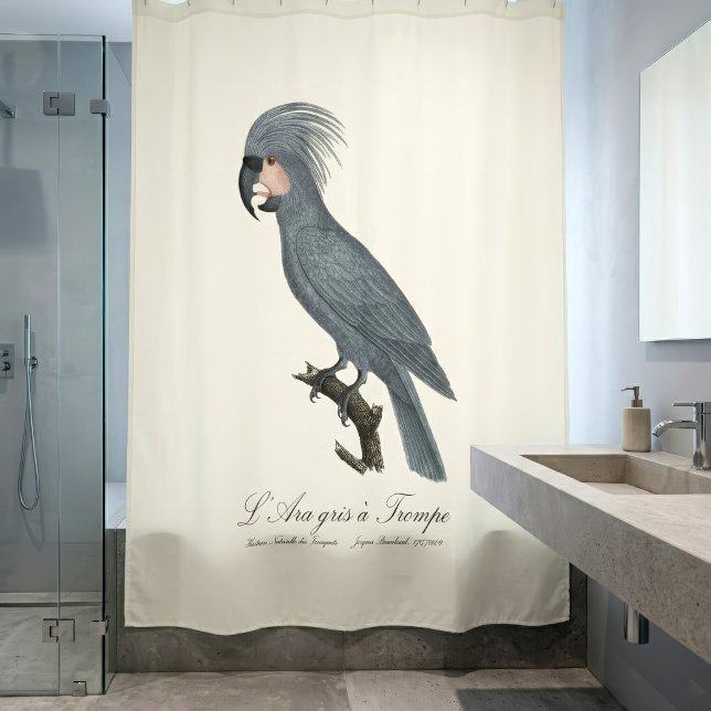 Rideaux De Douche Palmiste noir, Probosciger aterrimus (Great Black Palm Cockatoo, Probosciger aterrimus. Shower Curtain)