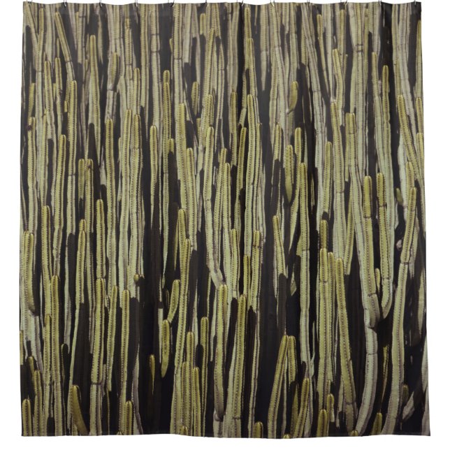 Rideaux De Douche Papier peint cactus vert (Devant)