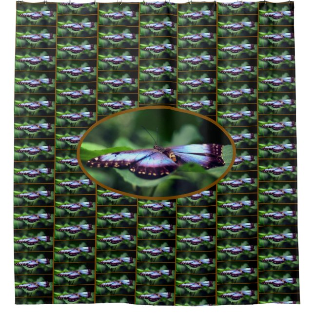 Rideaux De Douche Papillon bleu - Gros plan Motif de la nature (Devant)