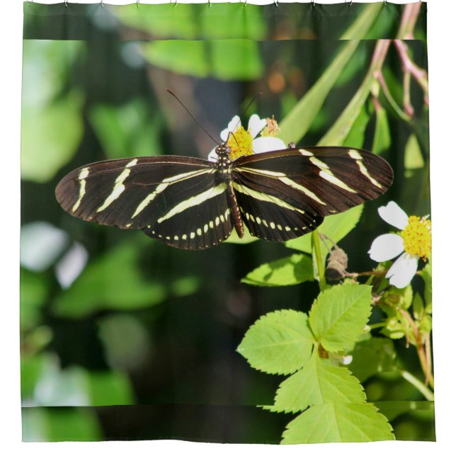 Rideaux De Douche Papillon Heliconius charithonia (Devant)