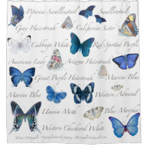 Papillons bleus