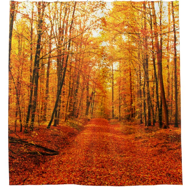 Rideaux De Douche Paysage pittoresque du Chemin d'Automne (Devant)