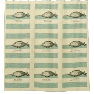 Rideaux De Douche Peinture à l'aquarelle de baleine ancienne Narwhal