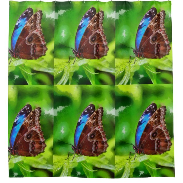 Rideaux De Douche Peinture à papillon (Devant)