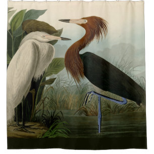 Rideaux De Douche Peinture de la faune d'Audubon Heron violet