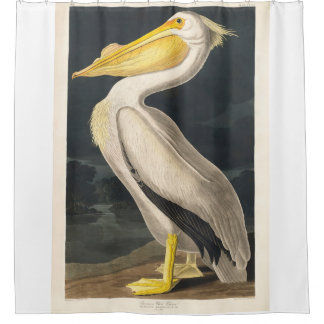 Rideaux De Douche Pélican blanc d'Amérique audubon abattu