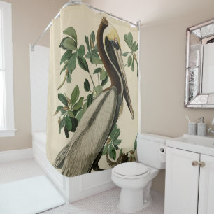 Rideaux De Douche Pélican Brown d'Audubon's Birds of America