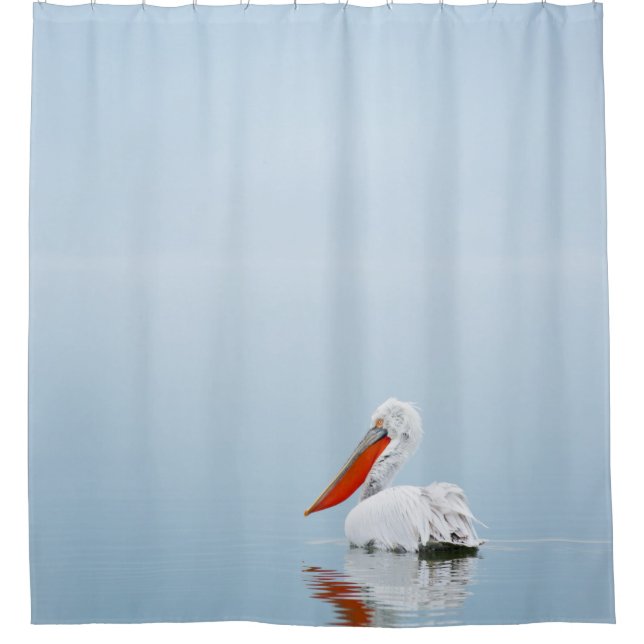 RIDEAUX DE DOUCHE PELICAN SUR EAU BLEU (Devant)
