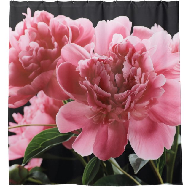 Rideaux De Douche Peony Bouquet Closeup : Rouge rose (Devant)