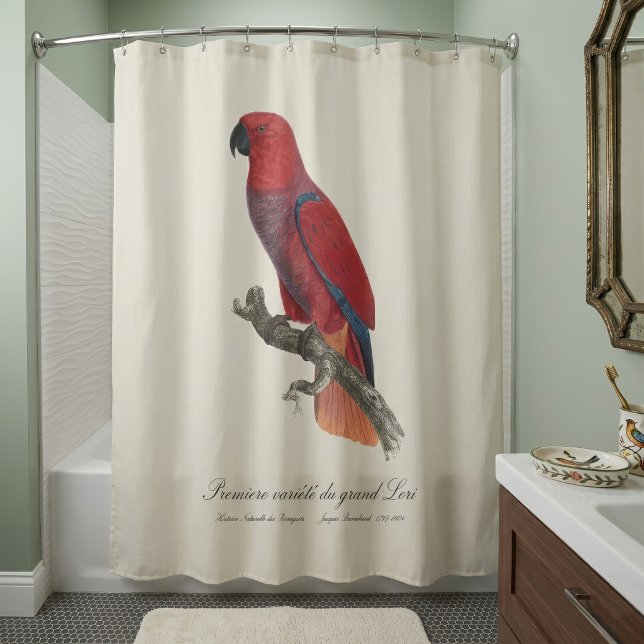 Rideaux De Douche Perroquet éclectus de Vosmaer, Eclectus Roratus Vo (Vosmaer Eclectus Parrot, Eclectus Roratus Vosmaeri. Shower Curtain)