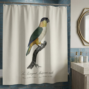 Rideaux De Douche Perruche à tête noire mâle, Pionites melanocephalu