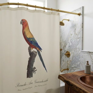 Rideaux De Douche Perruche soleil mâle, Aratinga solstitialis