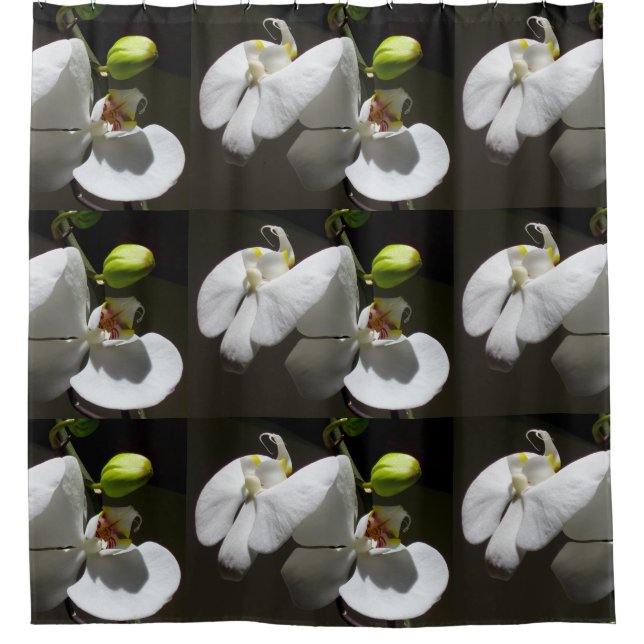 Rideaux De Douche photo d'orchidée blanche, photo à fleurs blanches  (Devant)