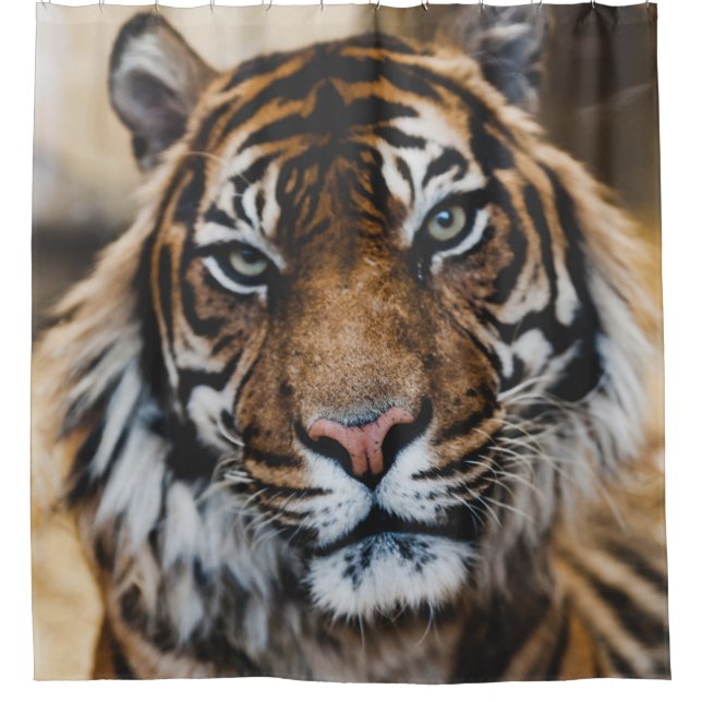 RIDEAUX DE DOUCHE PHOTO DU VISAGE DE TIGER (Devant)