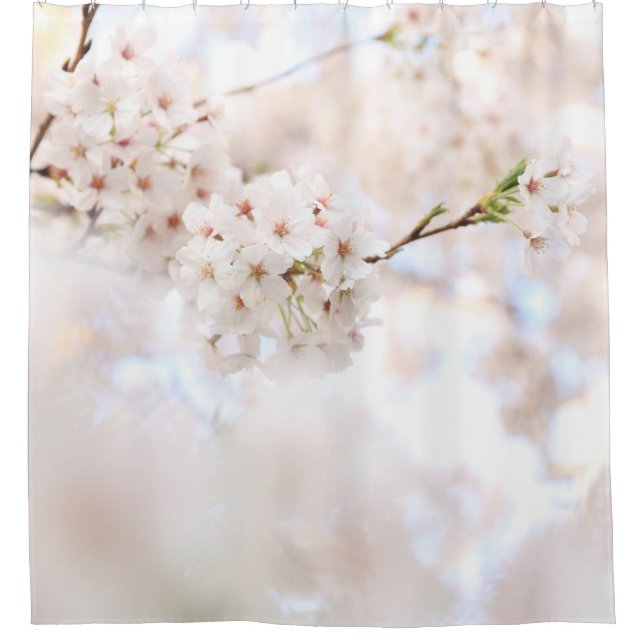 RIDEAUX DE DOUCHE PHOTOGRAPHIE CLOSEUP CHERRY BLANC BLOSSOMS (Devant)