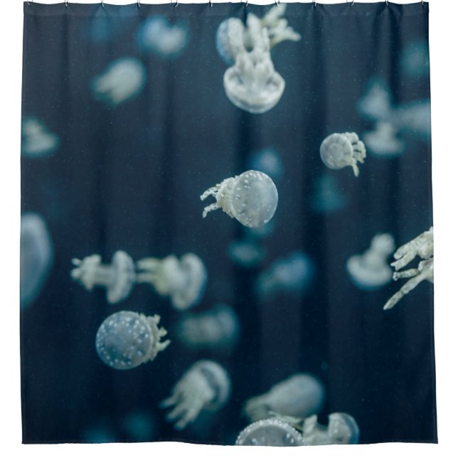 RIDEAUX DE DOUCHE PHOTOGRAPHIE COMPLÈTE DE JELLYFISH (Devant)