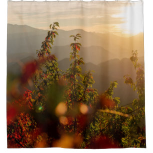 Rideaux De Douche Photographie de nature d'arbres verts surplombant 