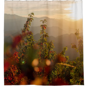RIDEAUX DE DOUCHE PHOTOGRAPHIE NATURELLE DES ARBRES VERTS SURPLOMBAN