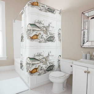 Rideaux De Douche Plage Océan de Seals vintages