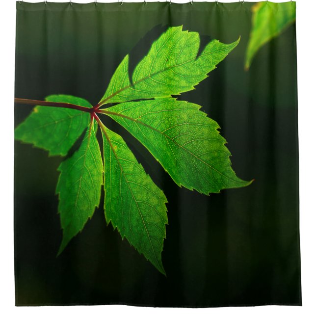 Rideaux De Douche Plante de texture motif de la feuille (Devant)