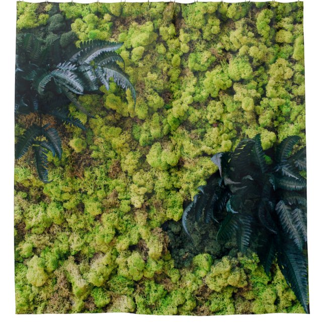 Rideaux De Douche Plantes à feuilles vertes (Devant)
