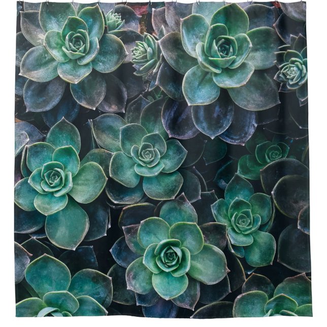 Rideaux De Douche Plantes succulents vert-bleu (Devant)