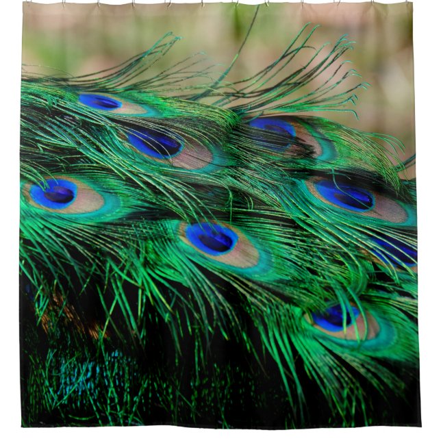 Rideaux De Douche Plumes de paon (Devant)