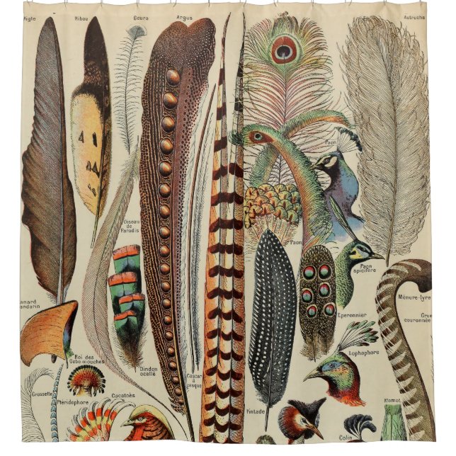 Rideaux De Douche Plumes d'oiseaux sauvages Antique (Devant)