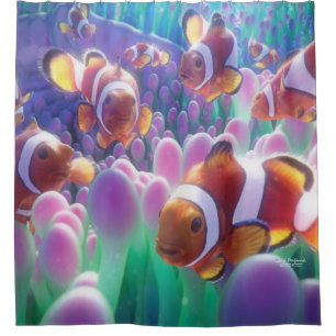 Rideaux De Douche Poissons Nemo de clown