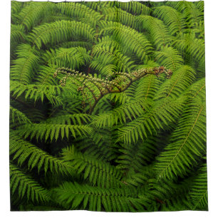 Rideaux De Douche Portrait Feuille de Fern