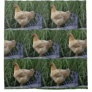 Rideaux De Douche Poulet de couleur chamois d'Orpington