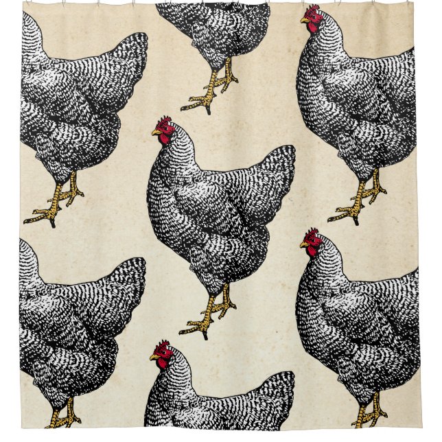 Rideaux De Douche Poulet de roche Plymouth Barred classique Hen (Devant)