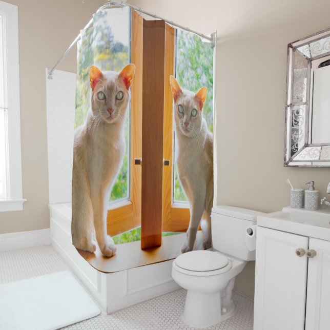 rideaux de douche pour chats Kate et Bobby chats B (En situation)
