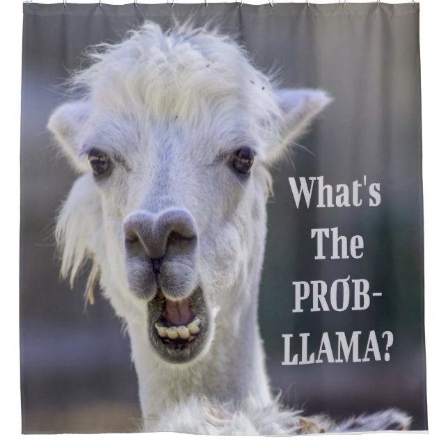 Rideaux De Douche Qu'est-ce que le Prob-Llama ? Jote Drôle LLAMA (Devant)