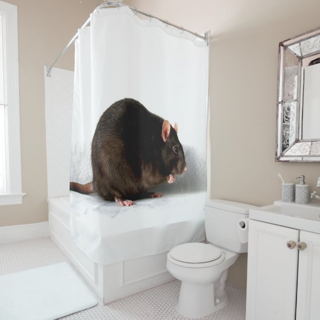 Rideaux De Douche Rat scm (En situation)
