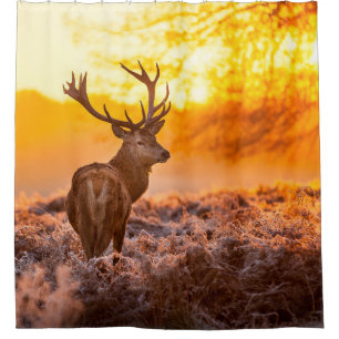 Rideaux De Douche Red Deer in Morning Sun, cerf, animal, faune, natu