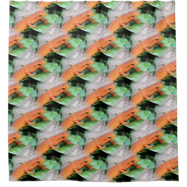 Rideaux De Douche Red Eft Salamander Animal Nature Motif (Devant)