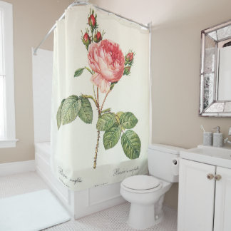 Rideaux De Douche Redoute Rosa Centifolia