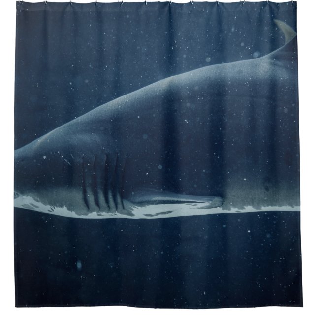 RIDEAUX DE DOUCHE REQUINS NOIRS ET BLANCS SOUS L'EAU (Devant)